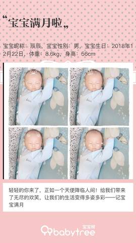 journal_insert_pic_1168616121