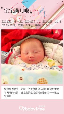 journal_insert_pic_1169063502