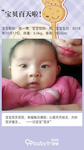 journal_insert_pic_1168991769