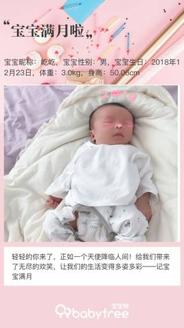 journal_insert_pic_1168831232
