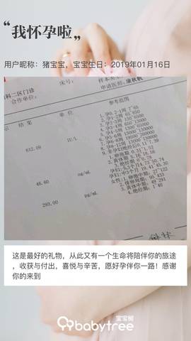 journal_insert_pic_1169344073