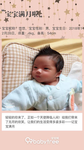 journal_insert_pic_1169927206