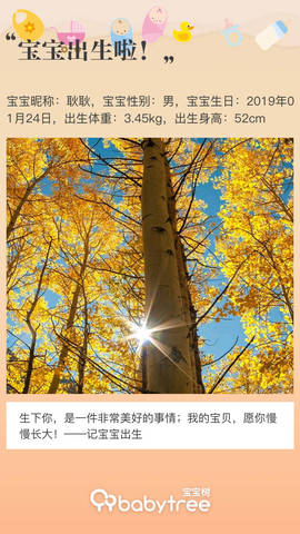 journal_insert_pic_1170106069