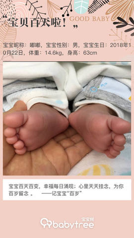 journal_insert_pic_1170368703