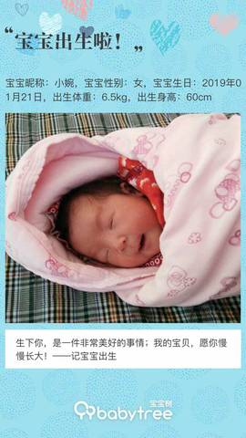 journal_insert_pic_1170315902