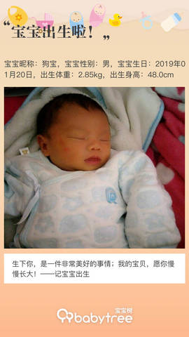 journal_insert_pic_1170596734