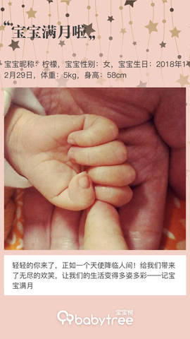 journal_insert_pic_1171062403