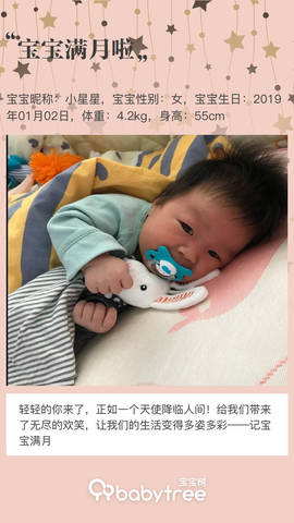 journal_insert_pic_1172491674