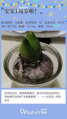 journal_insert_pic_1173143894