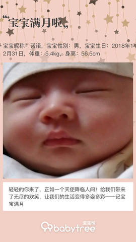 journal_insert_pic_1172986691