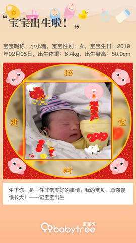 journal_insert_pic_1176241778