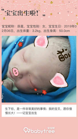 journal_insert_pic_1177175015