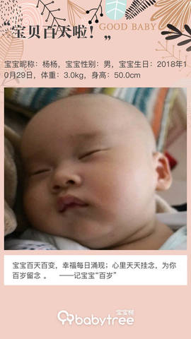 journal_insert_pic_1177548063