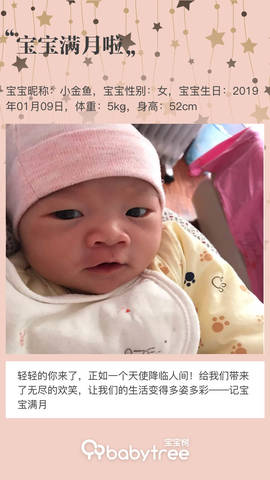journal_insert_pic_1177393928