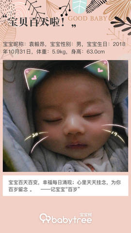 journal_insert_pic_1177358985