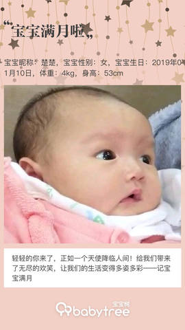 journal_insert_pic_1177757499