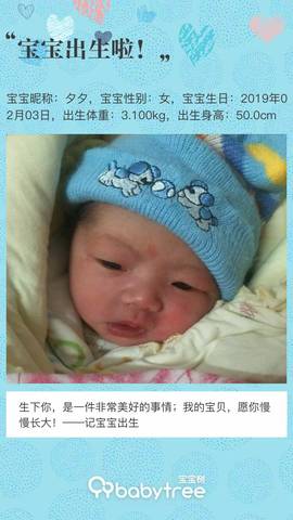 journal_insert_pic_1178106344