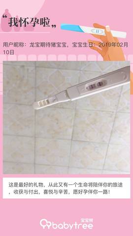 journal_insert_pic_1178731615
