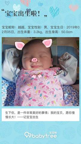 journal_insert_pic_1179671168