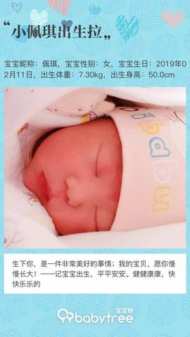 journal_insert_pic_1180252188