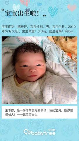 journal_insert_pic_1179985248