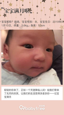 journal_insert_pic_1180672634