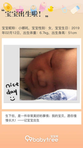 journal_insert_pic_1181419460