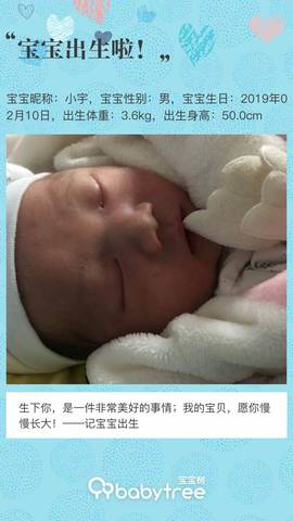 journal_insert_pic_1182109730