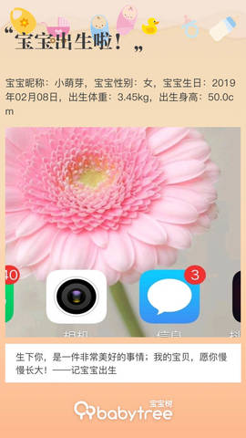 journal_insert_pic_1182916226