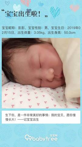 journal_insert_pic_1183460378
