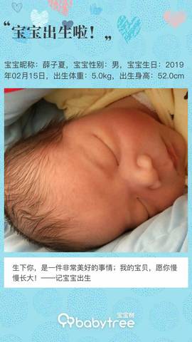 journal_insert_pic_1183740416