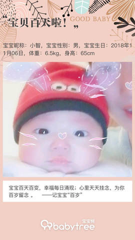 journal_insert_pic_1184110266