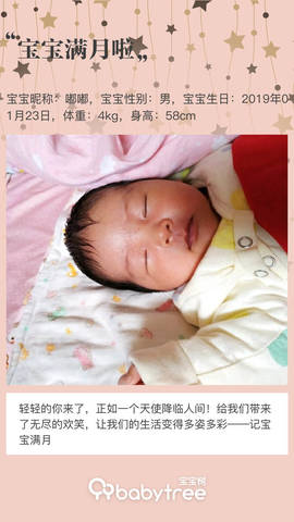 journal_insert_pic_1184795871