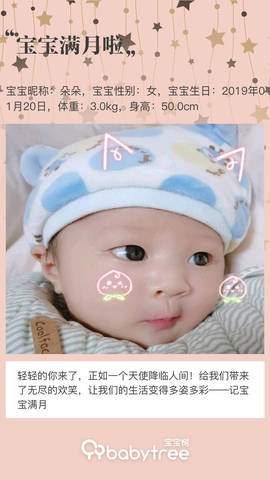 journal_insert_pic_1184982522