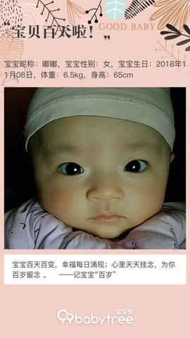 journal_insert_pic_1185114969