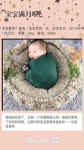 journal_insert_pic_1185875233