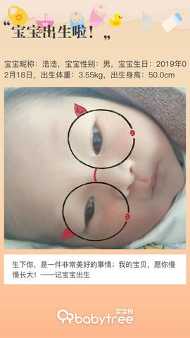 journal_insert_pic_1185528547