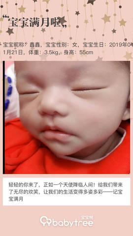 journal_insert_pic_1186688529