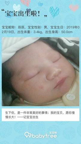 journal_insert_pic_1187095755
