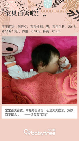 journal_insert_pic_1186699957