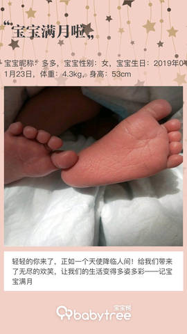 journal_insert_pic_1186754111
