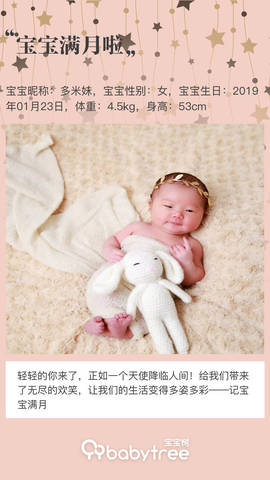 journal_insert_pic_1187324328