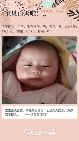 journal_insert_pic_1187309636
