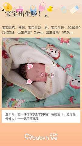 journal_insert_pic_1187390724