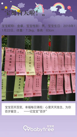 journal_insert_pic_1188748734