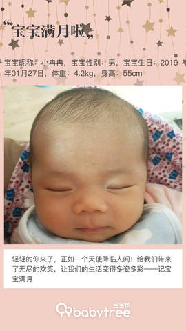journal_insert_pic_1188677564