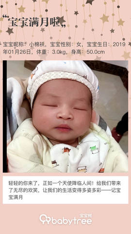 journal_insert_pic_1189054520
