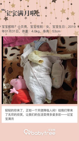 journal_insert_pic_1189890454
