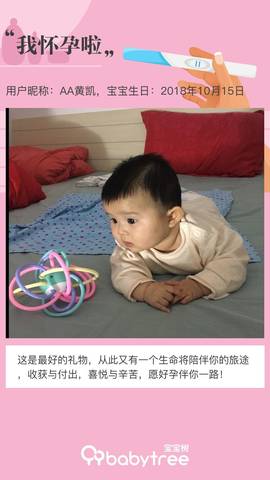 journal_insert_pic_1190237759