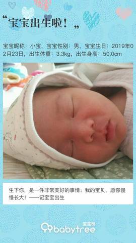 journal_insert_pic_1191135845